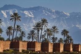 Image du Maroc Professionnelle de  Hormis les remparts de Marrakech qui sont construits entièrement en pisé selon une technique séculaire par l'Almoravide Ali Ben Youssef au début de XIIème siècle pour se protéger des attaques extérieures. La ville rouge dispose d’autres murailles qui protègent les parcs comme celle-ci qui clôturent les jardins de l'Agdal Ba Ahmed. Au fond la chaine de montagne du Haut Atlas enneigé surplombe la plaine du Haouz où de nombreux palmiers des jardins apportent à ce paysage un contraste très accentué, 3 Décembre 2012. (Photo / Abdeljalil Bounhar) 